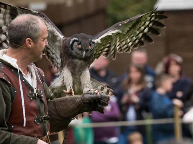 Falconer's Quest at Warwick Castle