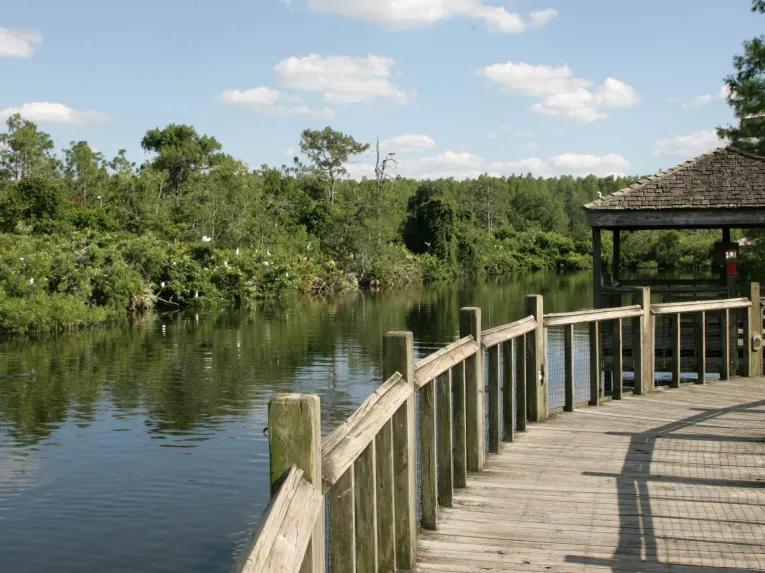 Breeding marsh walkway at Gatorland in Florida