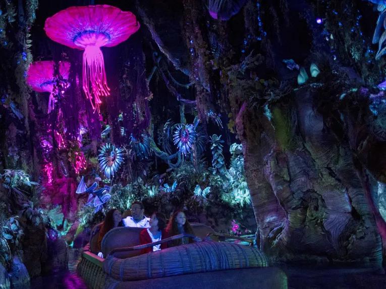 Na'vi River Journey at Disney's Animal Kingdom