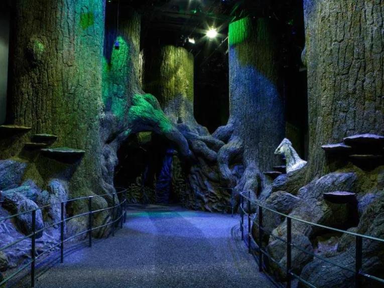 Forbidden Forest at the Warner Bros. Studio Tour London