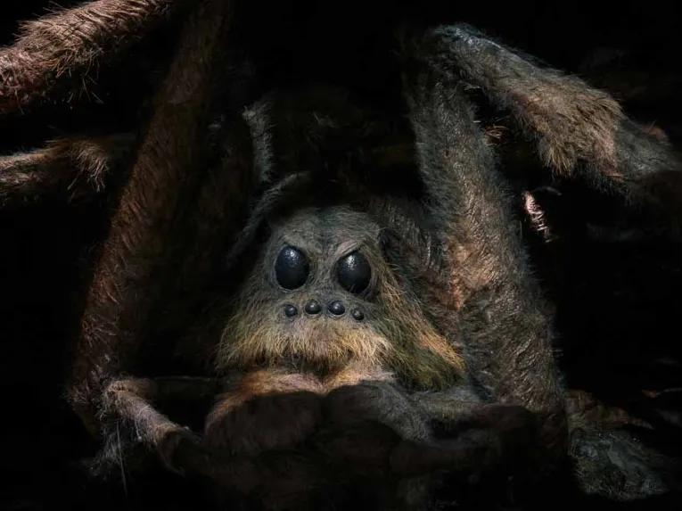 Aragog at the Warner Bros. Studio Tour London