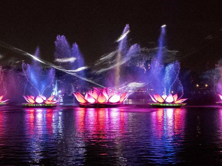 Disney's Animal Kingdom 