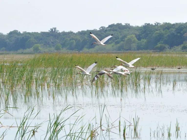 Unspoilt lake at Boggy Creek Orlando