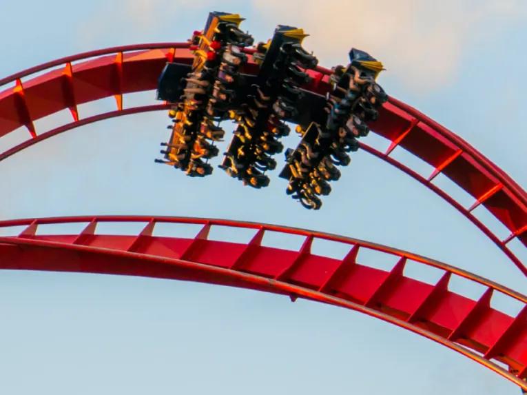 Sheikra rollercoaster at Busch Gardens Tampa Bay