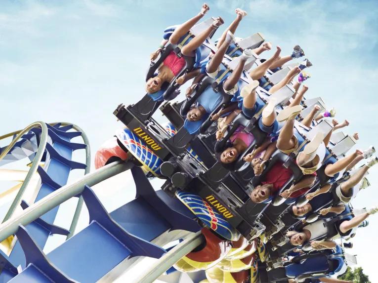 Montu Rollercoaster at Busch Gardens Tampa Bay