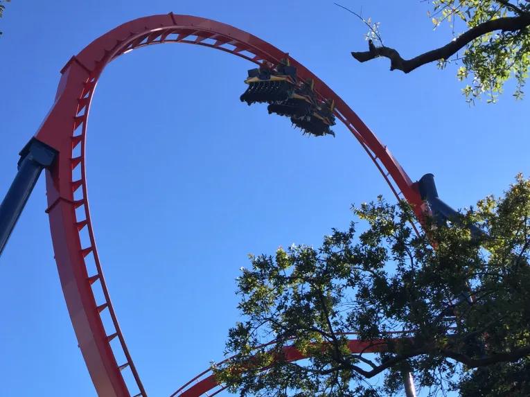 SheiKra Rollercoaster at Busch Gardens Tampa Bay