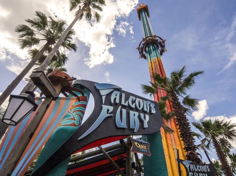Falcons Fury at Busch Gardens Tampa Bay