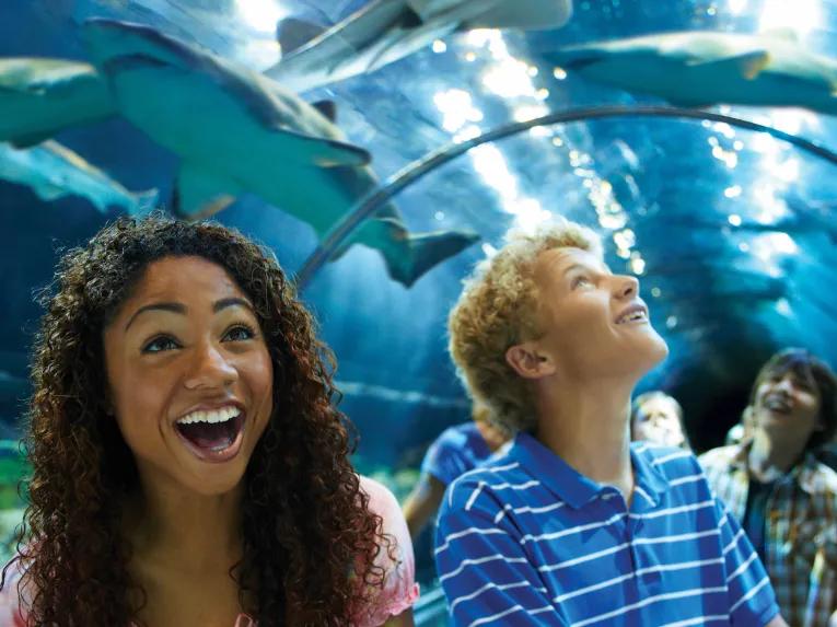 Teens walking through the Shark Tunnel at SeaWorld Orlando