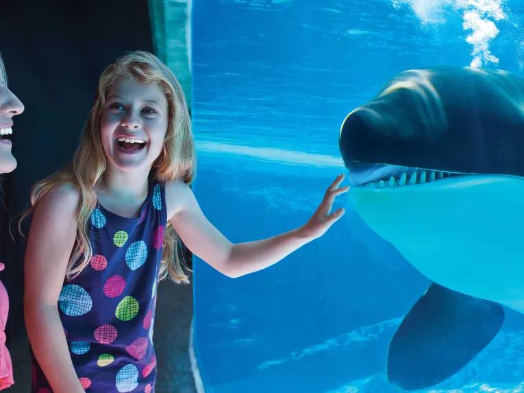 Mother and daughter interacting with an orca at SeaWorld Orlando