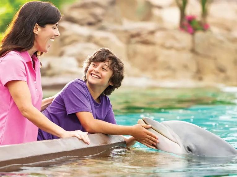 Mother and son interacting with Dolphins at SeaWorld Orlando