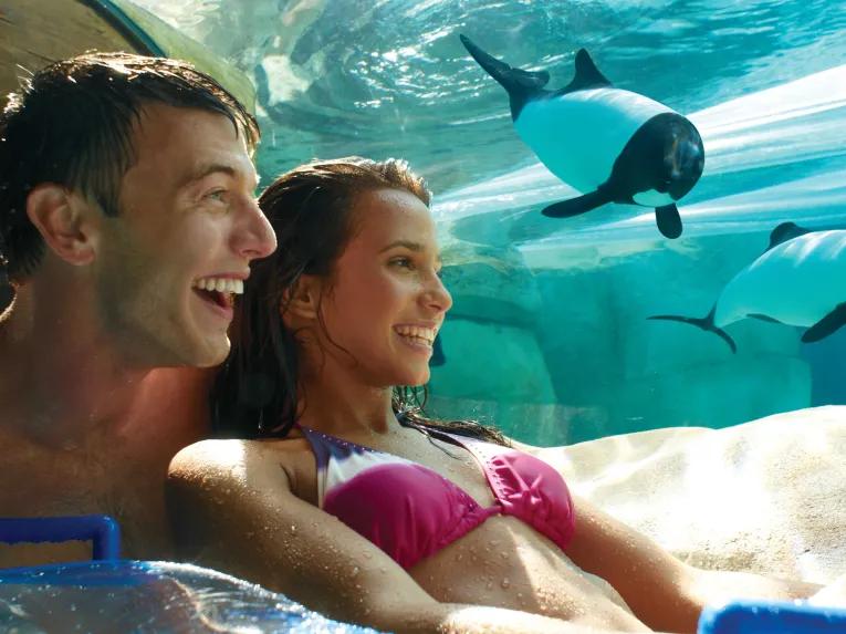 Couple viewing Commersons Dolphins as they float along Loggerhead Lane at Aquatica Orlando