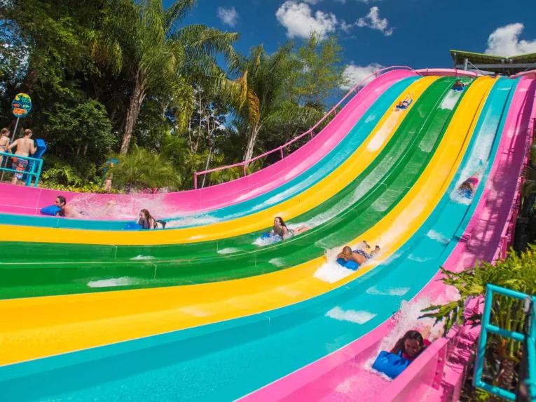Teens racing down Taumata Racer at Aquatica Orlando