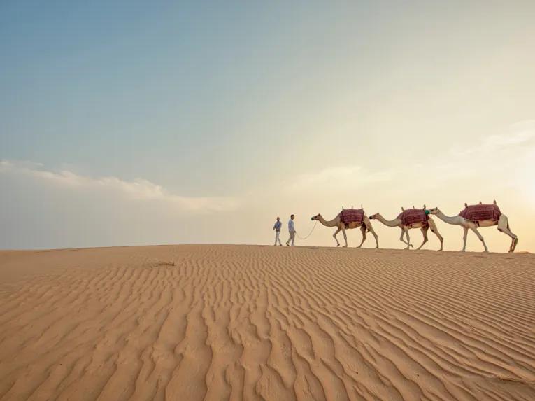  Overnight Desert Safari