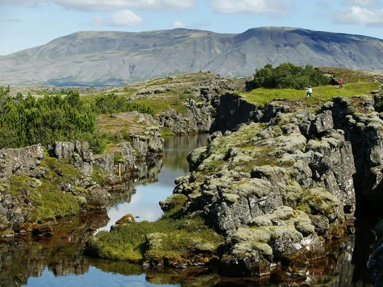 Viking Horse & Golden Circle