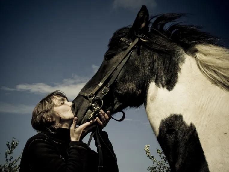 Viking Horse & Golden Circle