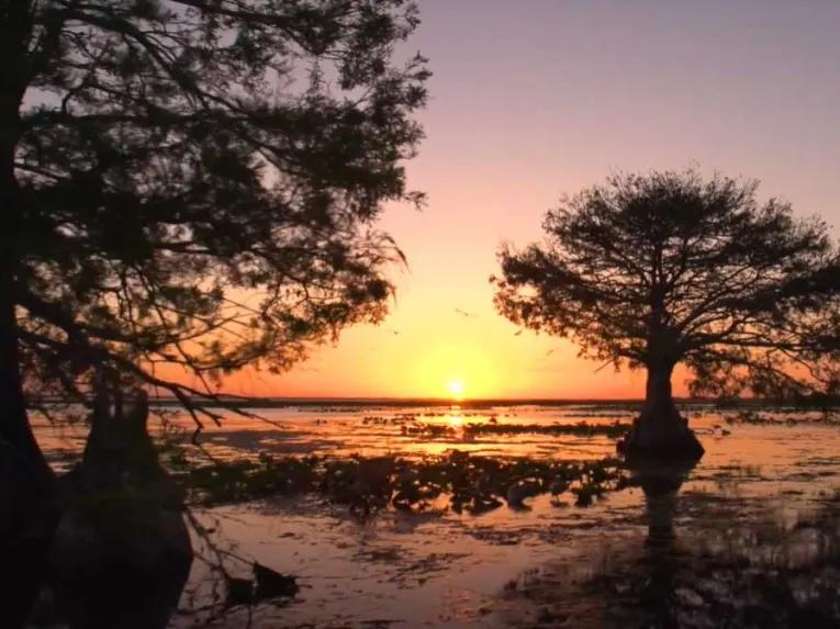 Boggy Creek Sunset Airboat Tour