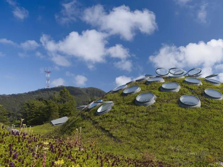 California Academy of Sciences