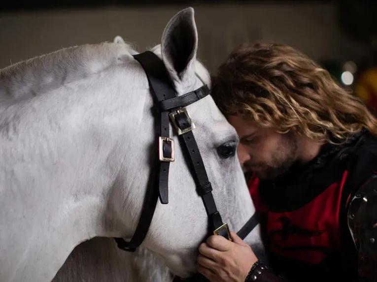 A knight and a horse touching heads at Medieval Times Orlando Dinner Show & Tournament