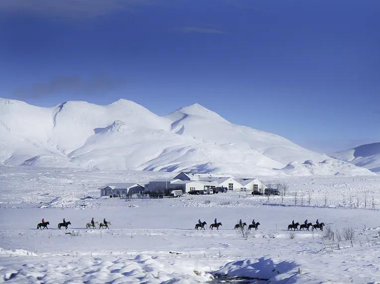 Viking Horse & Golden Circle