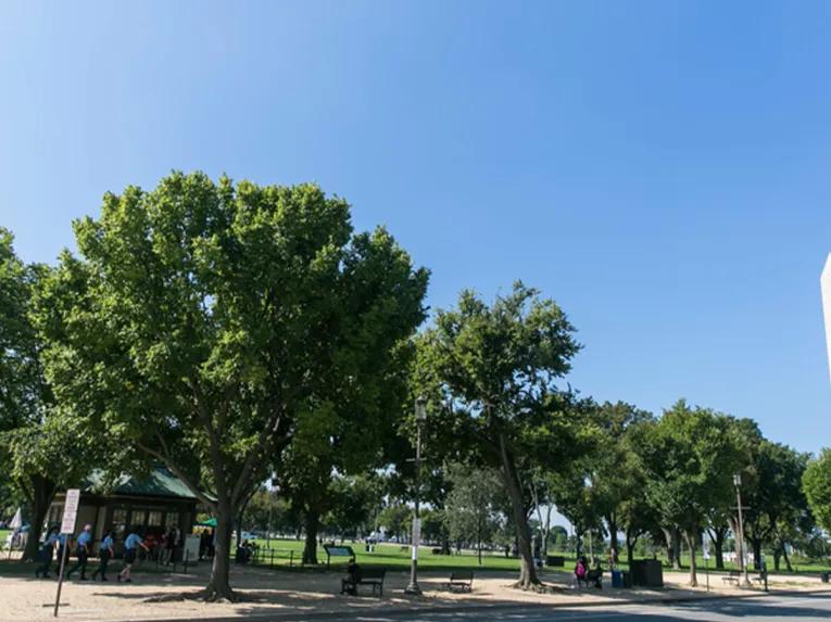 Mall & Monuments by Electric Car