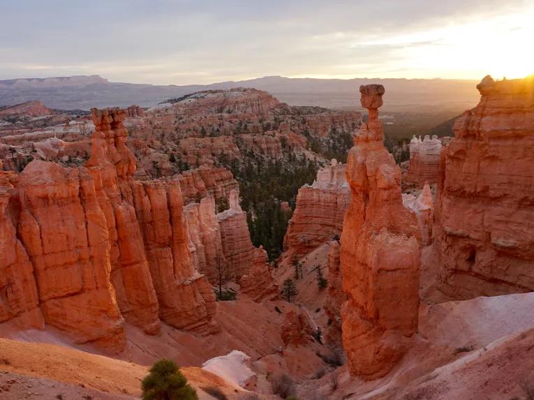 Bryce Canyon Day Tour