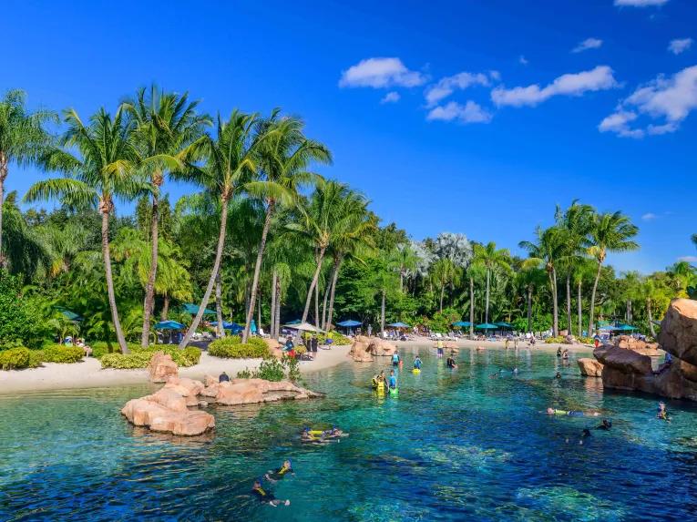 Discovery Cove in Orlando