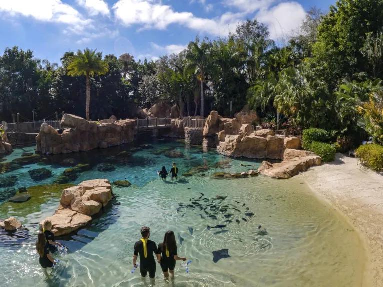 Discovery Cove in Orlando