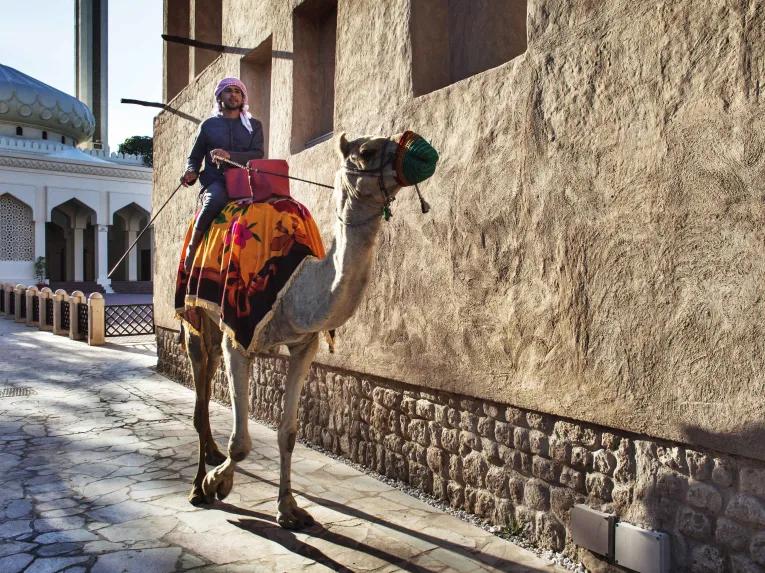 Discover the sights of Dubai on a Dubai City Tour accompanied by a knowledgeable local guide