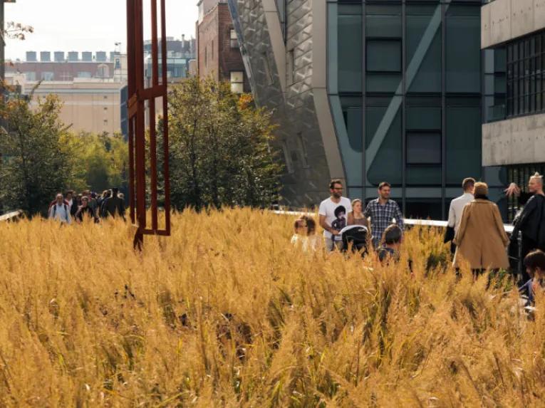 Highlights of the High Line