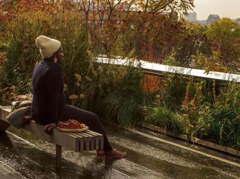 Highlights of the High Line