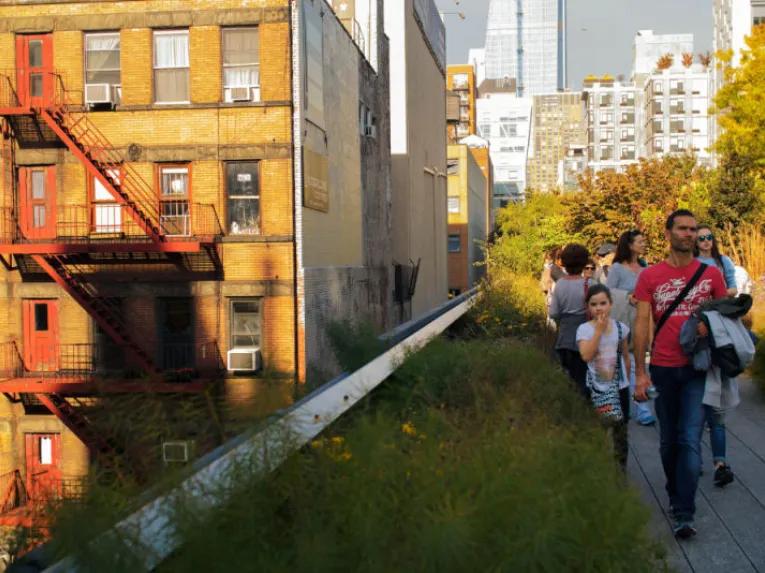 Highlights of the High Line