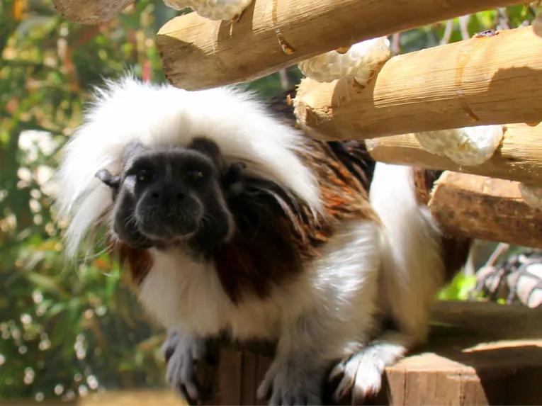 Real Wild Florida Adventure