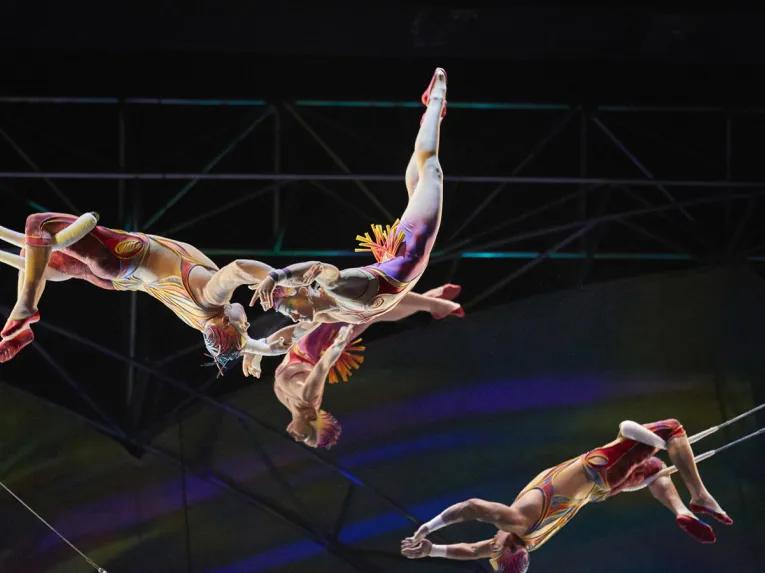 Mystère Cirque du Soleil