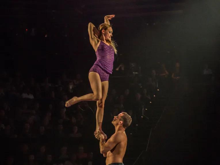 LOVE Cirque du Soleil