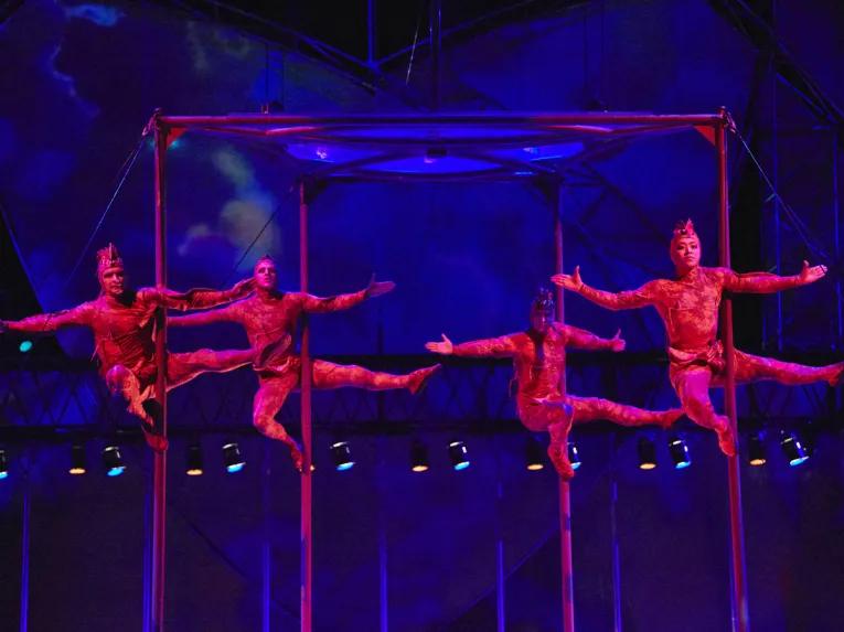 Mystère Cirque du Soleil