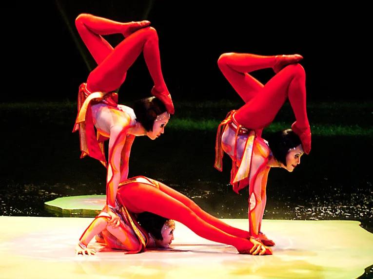 'O' Cirque du Soleil