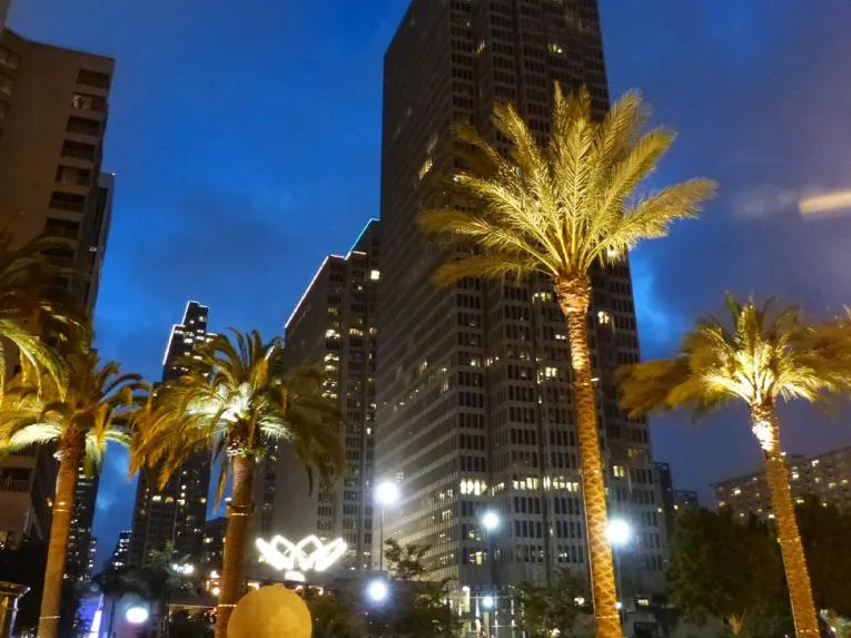 San Francisco Night Tour