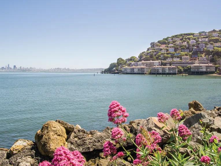 Muir Woods & Sausalito Tour 