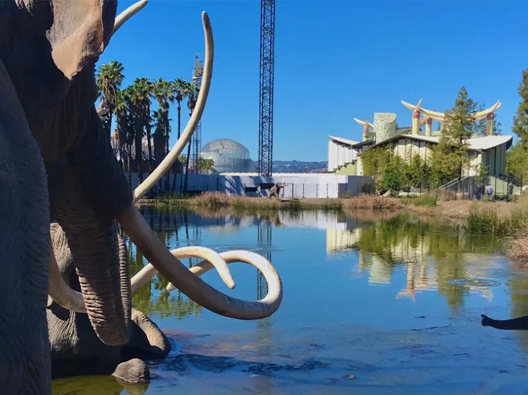 Hollywood Tour by Bike