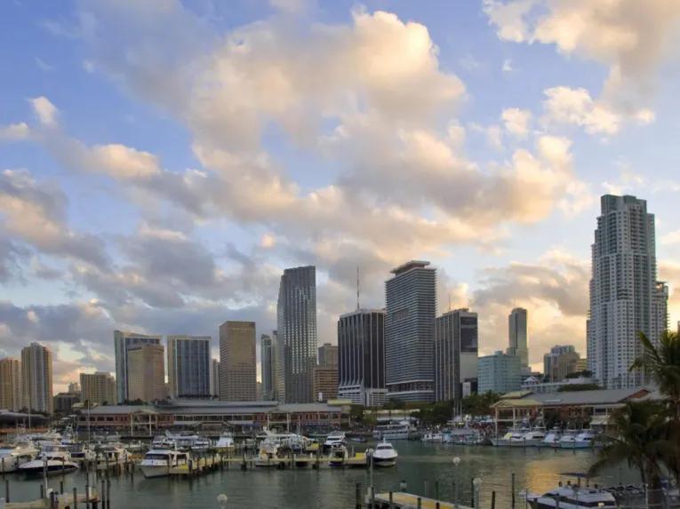 Everglades Airboat Adventure and Miami City Tour