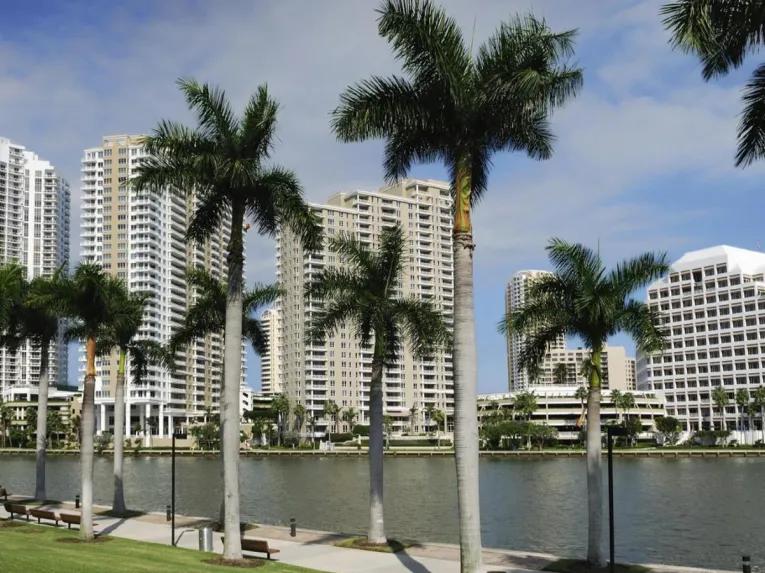 Miami City Tour and Millionaire’s Cruise 