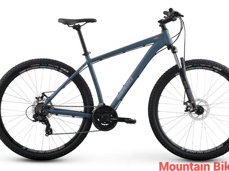 Los Angeles Bike Rentals