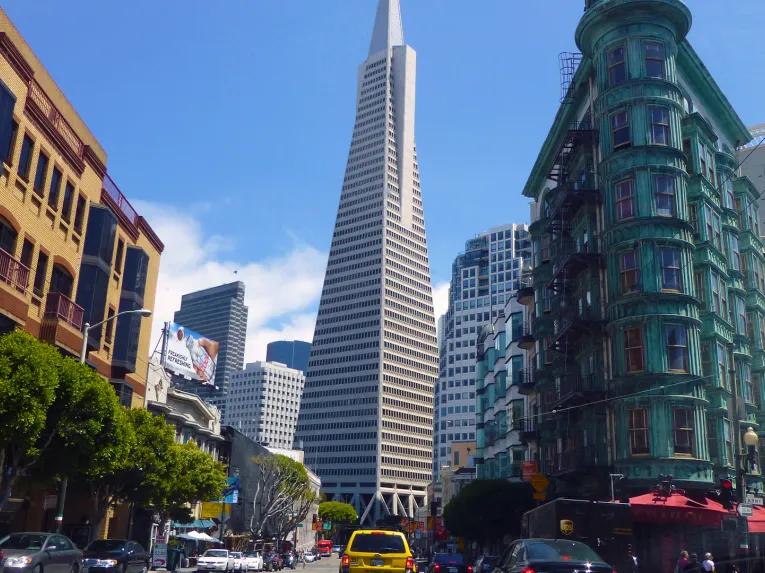 Bus & Boat Adventure