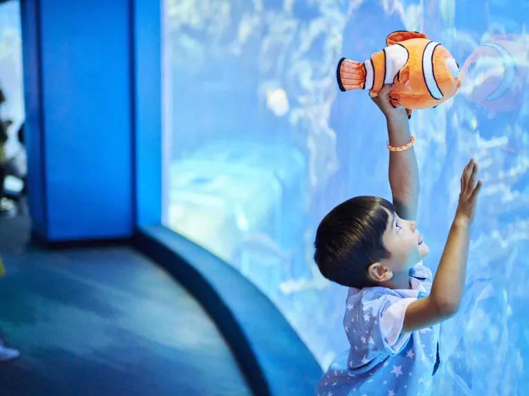 The Seas with Neo and Friends at Epcot