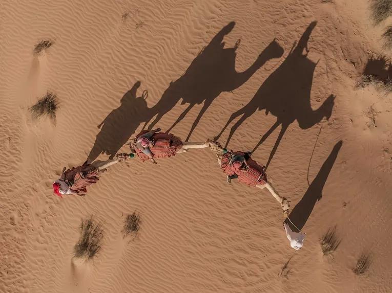 Heritage Safari by Camel 2