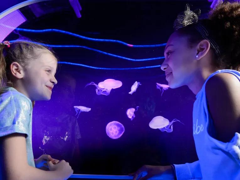 SEA LIFE London Aquarium