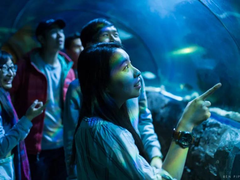 SEA LIFE London Aquarium