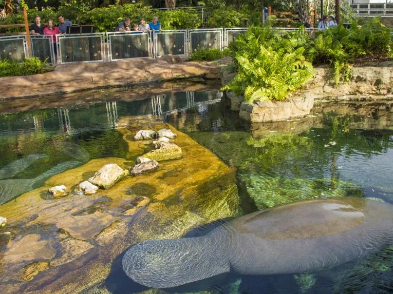 SeaWorld Orlando Rescue Tour