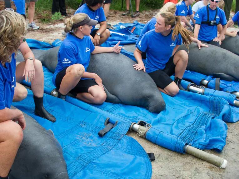SeaWorld Orlando Rescue Tour