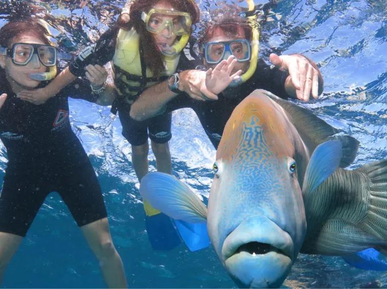 Great Barrier Reef Adventure